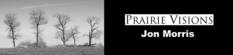 Prarie Vision Banner